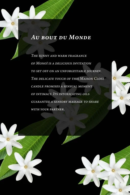 Maison Close Massage Candle - Au Bout Du Monde - Monoï Les Romantiques